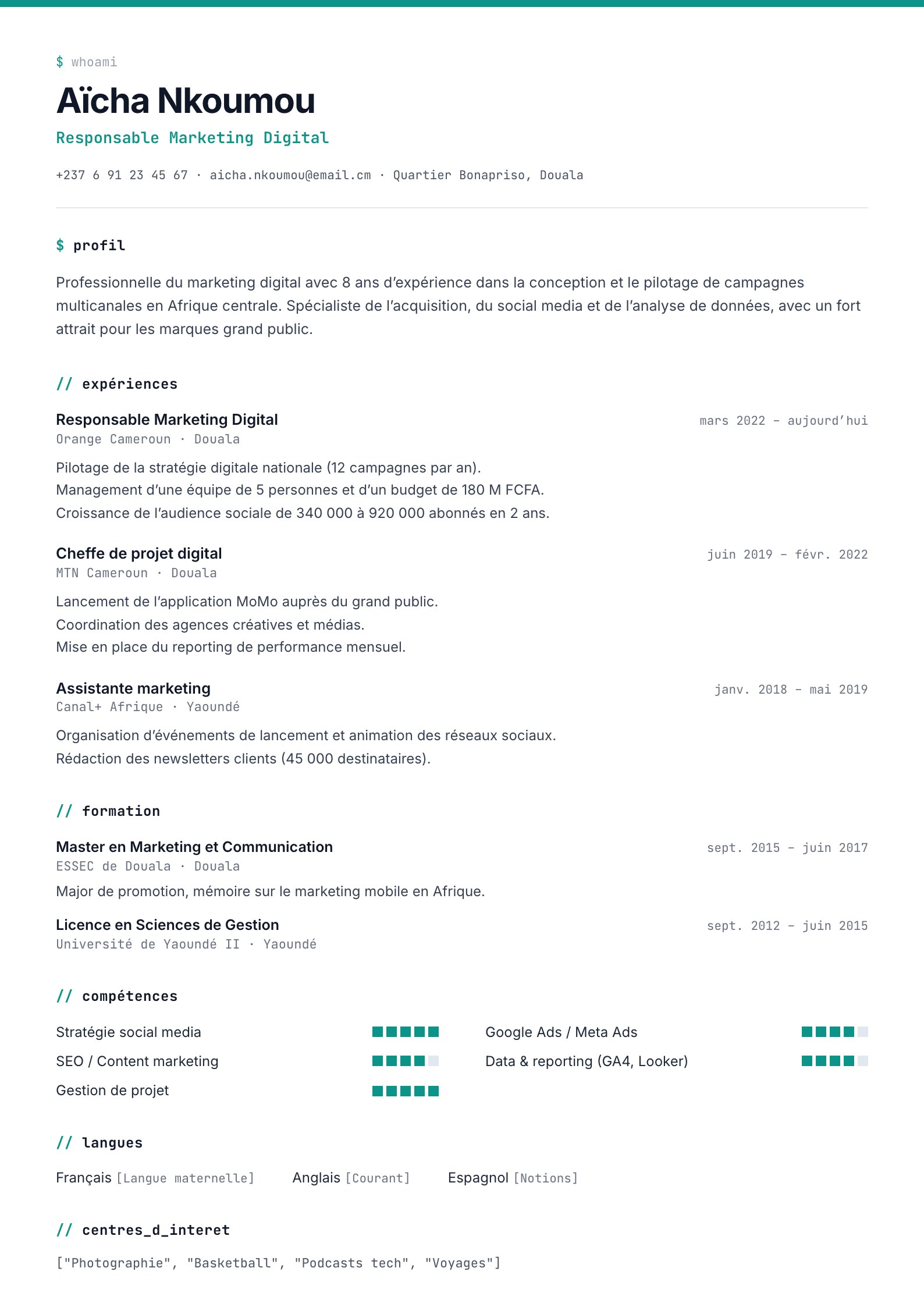 Exemple de CV Bamenda, modèle moderne à remplir en ligne au Cameroun